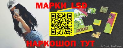 гидропоника Новокубанск