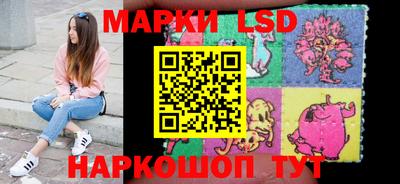 гидропоника Новокубанск