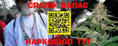 гидропоника Новокубанск