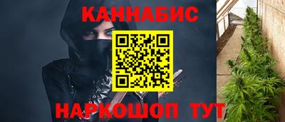 дживик Новозыбков