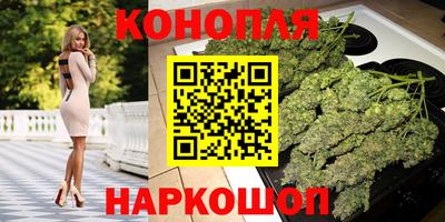 дживик Новозыбков