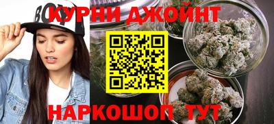 дживик Новозыбков
