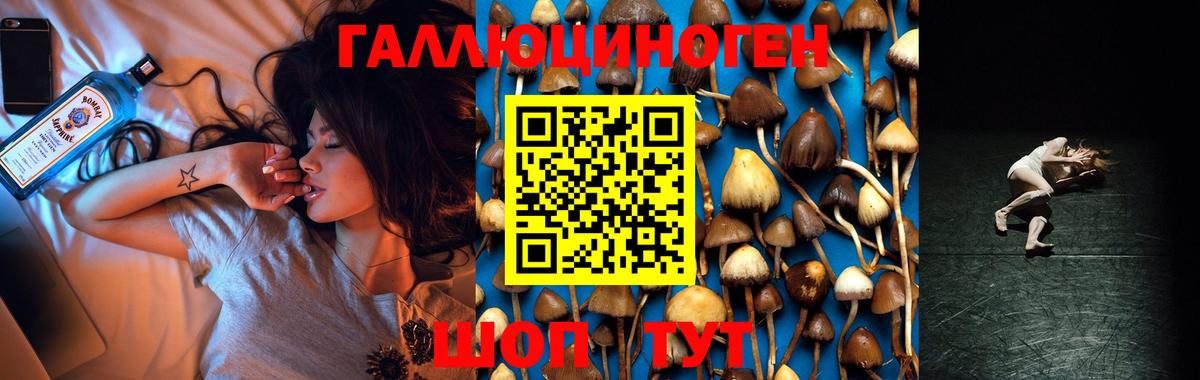 Галлюциногенные грибы прущие грибы  Вход с VPN  Ступино 